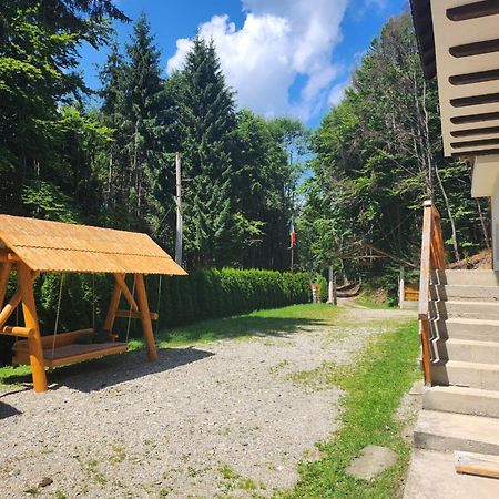 Cabana Valea Bradului Nucşoara Dış mekan fotoğraf
