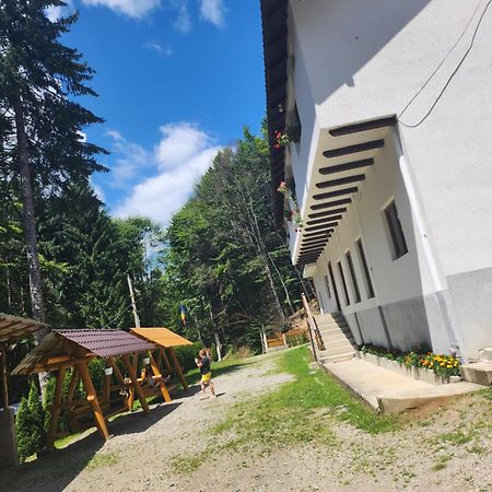 Cabana Valea Bradului Nucşoara Dış mekan fotoğraf