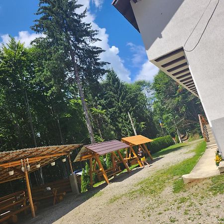 Cabana Valea Bradului Nucşoara Dış mekan fotoğraf