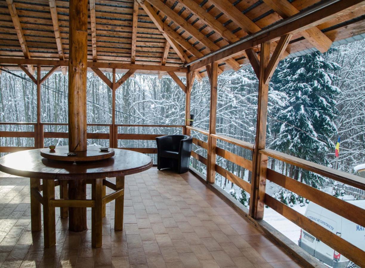 Cabana Valea Bradului Nucşoara Dış mekan fotoğraf