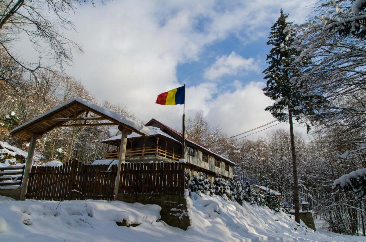 Cabana Valea Bradului Nucşoara Dış mekan fotoğraf