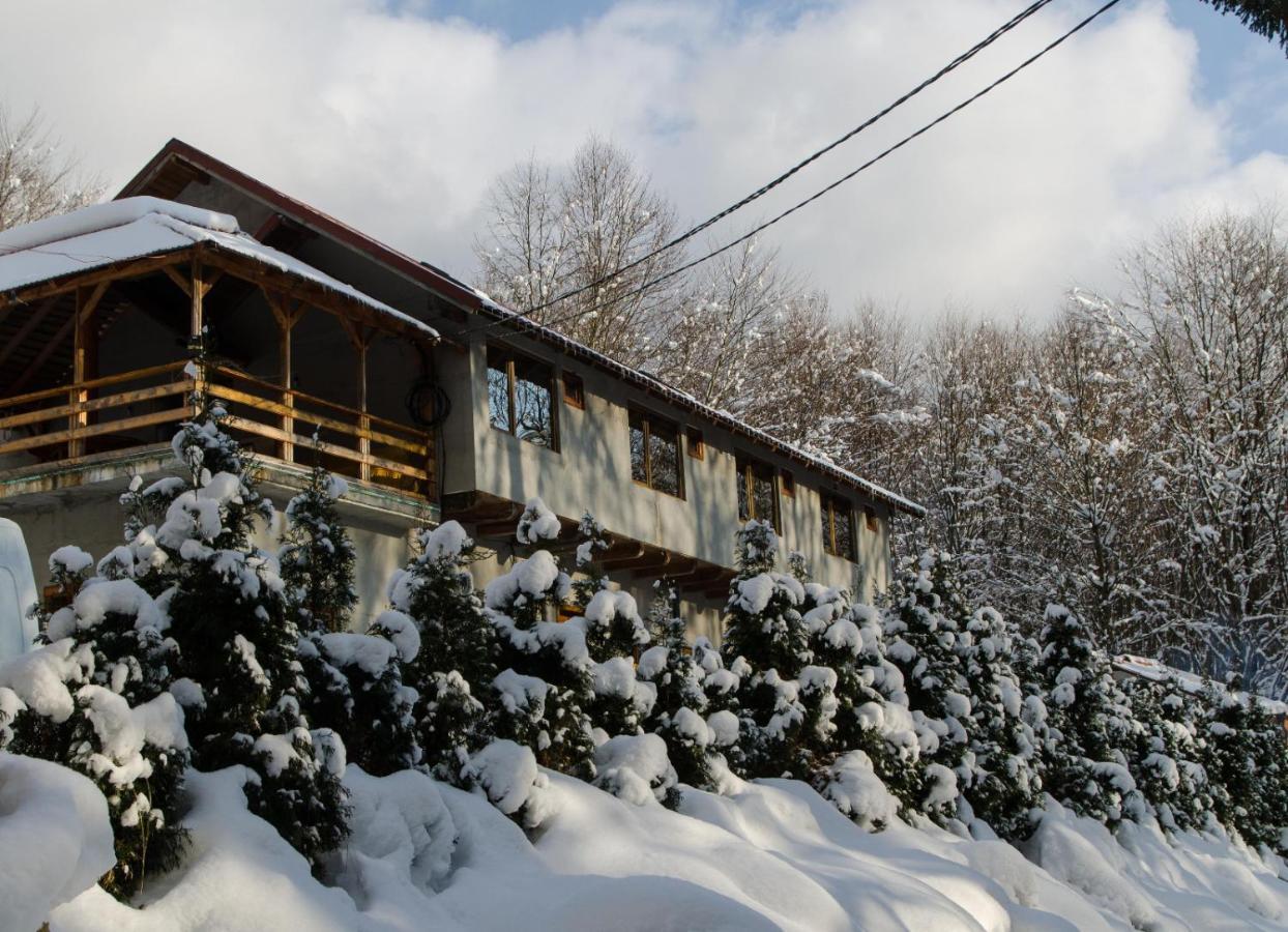 Cabana Valea Bradului Nucşoara Dış mekan fotoğraf