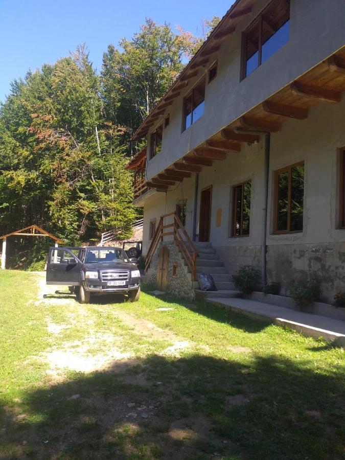 Cabana Valea Bradului Nucşoara Dış mekan fotoğraf