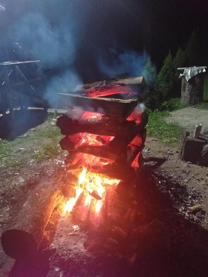 Cabana Valea Bradului Nucşoara Dış mekan fotoğraf