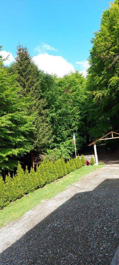 Cabana Valea Bradului Nucşoara Dış mekan fotoğraf
