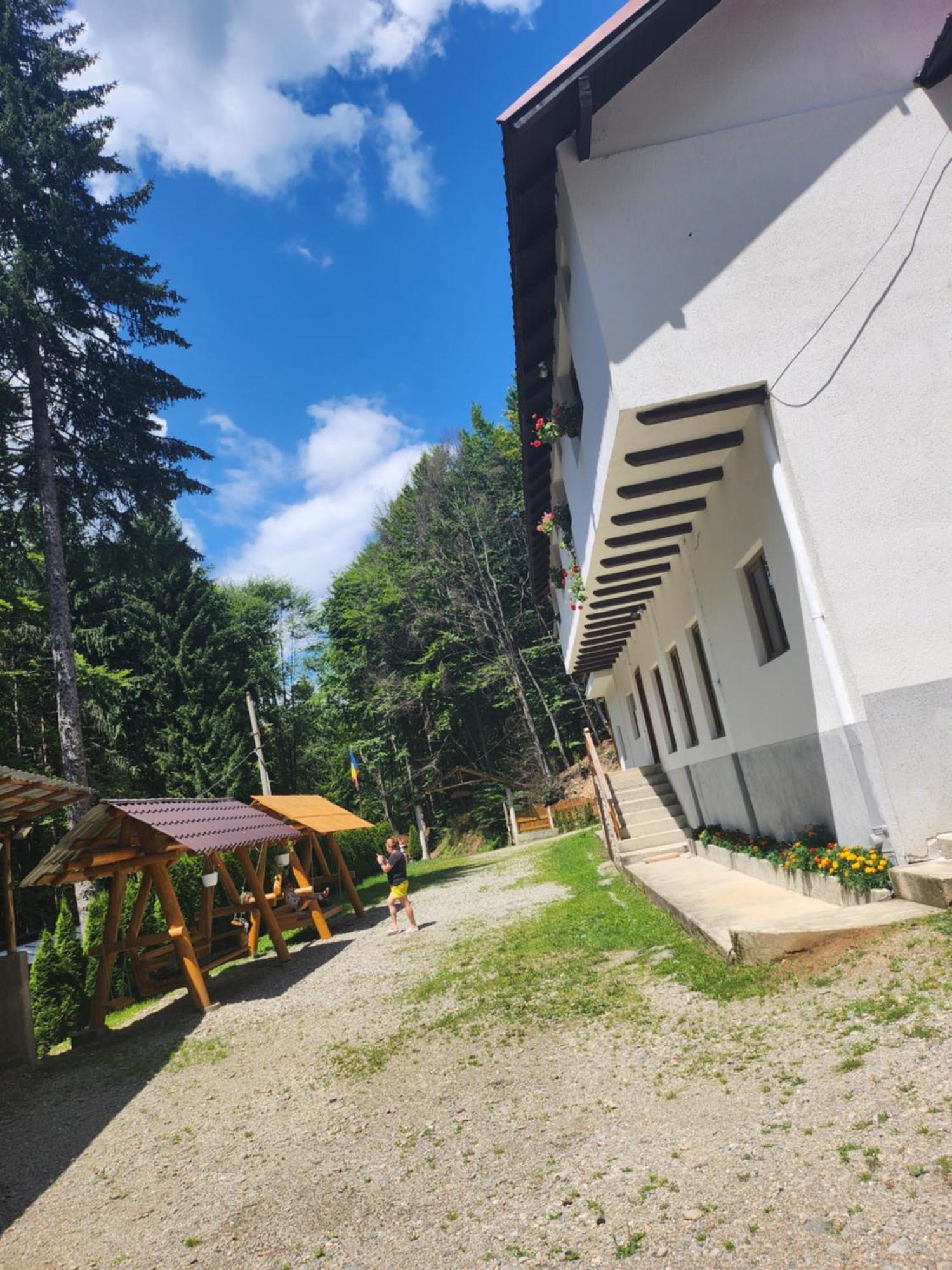 Cabana Valea Bradului Nucşoara Dış mekan fotoğraf