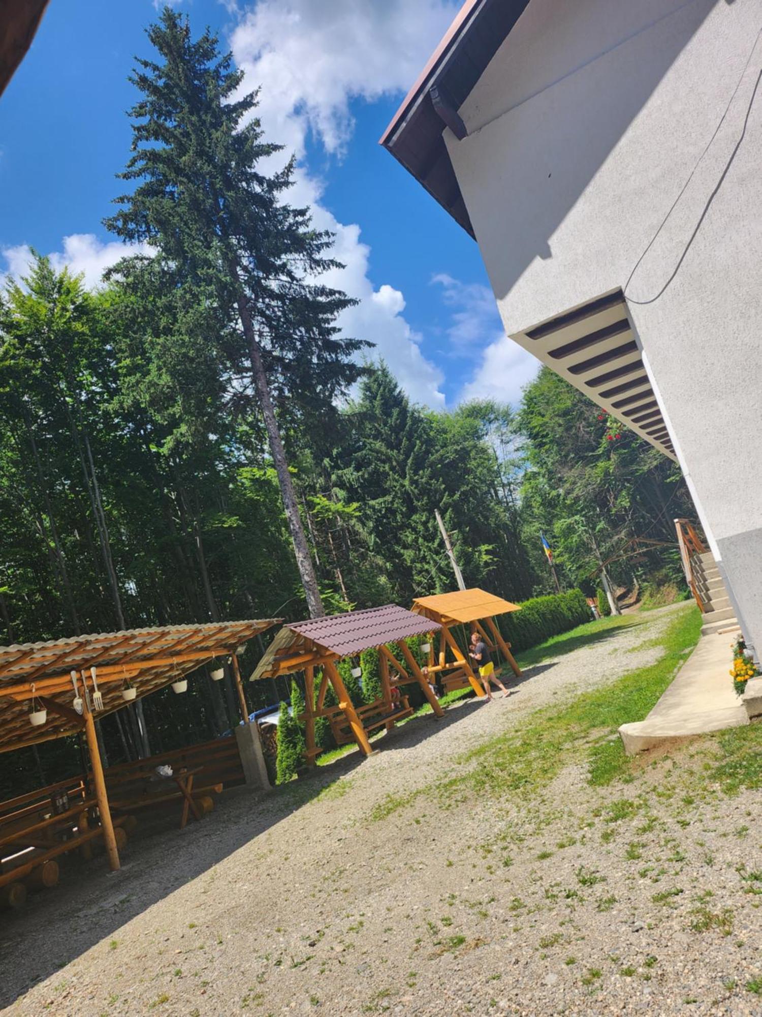 Cabana Valea Bradului Nucşoara Dış mekan fotoğraf